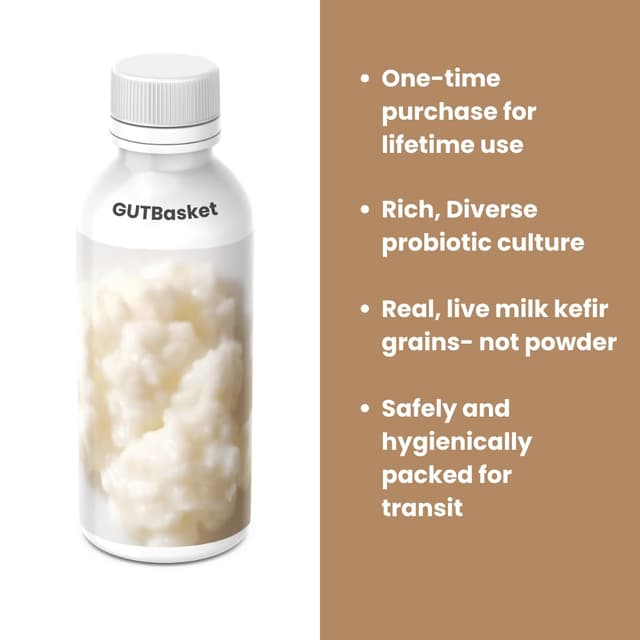 GutBasket Live Milk Kefir Grains | Reusable Probiotic Culture for Homemade Milk Kefir | One-Time Purchase, Grows & Multiplies